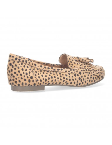 1AS-0170-Leopardo