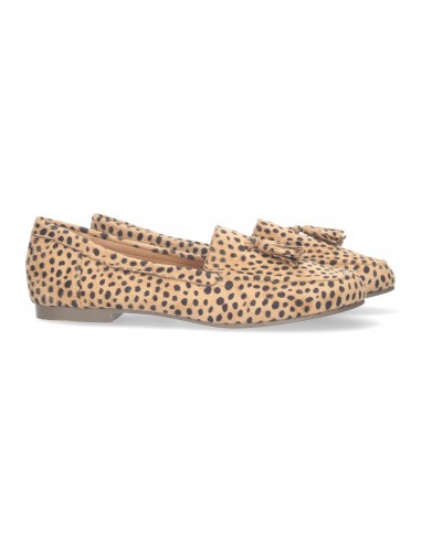 1AS-0170-Leopardo